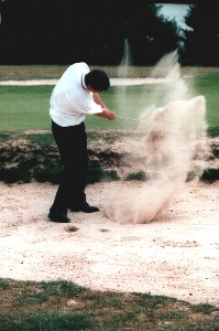 robin playing from the bunker